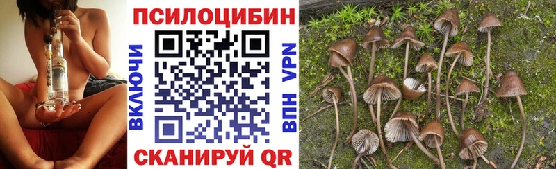 Галлюциногенные грибы MAGIC MUSHROOMS  купить  сайты  МЕГА ссылка  Снежногорск 