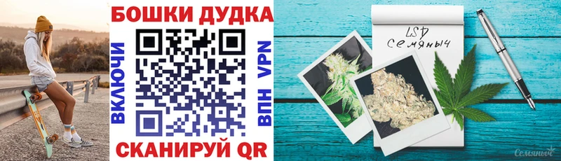 мега как зайти  Снежногорск  Бошки марихуана конопля 